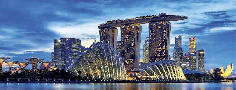 호들넛 “싱가포르 경찰청, 1.27억 달러 자산 이전 명령…회사 청산 우려”