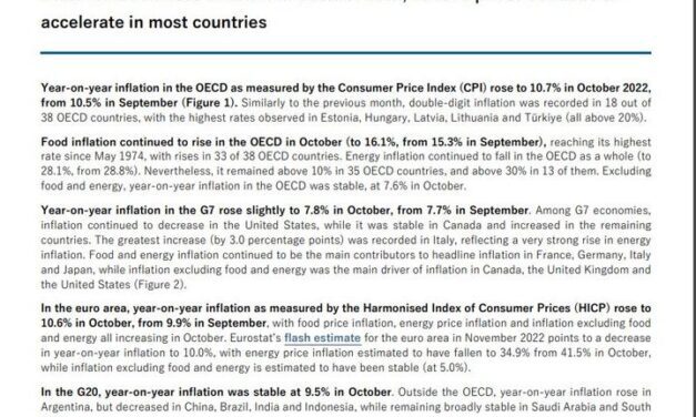 OECD 10월 CPI, 10.7% 올라 … 9월 10.5%보다 상승폭 소폭 늘어