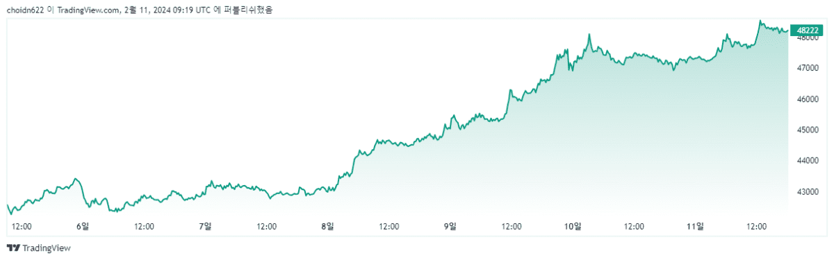 [비트코인 2024년 2월 1주차 차트, Trading View]